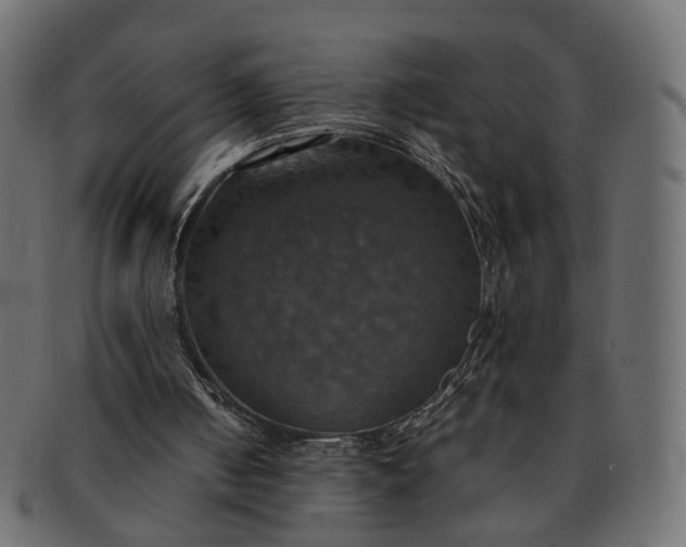 X0000091540050200709071113