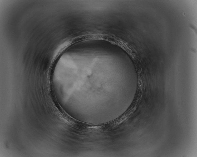 X0000091540053200709071113