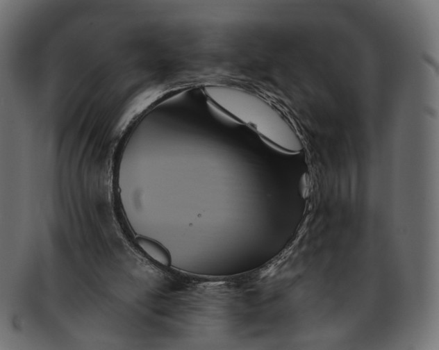 X0000091540054200709071113