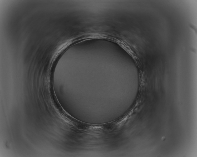 X0000091540055200709071113