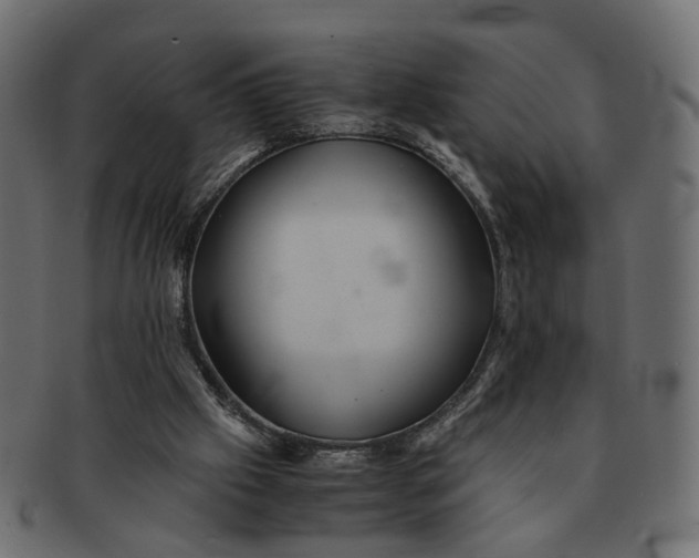 X0000091540057200709071113