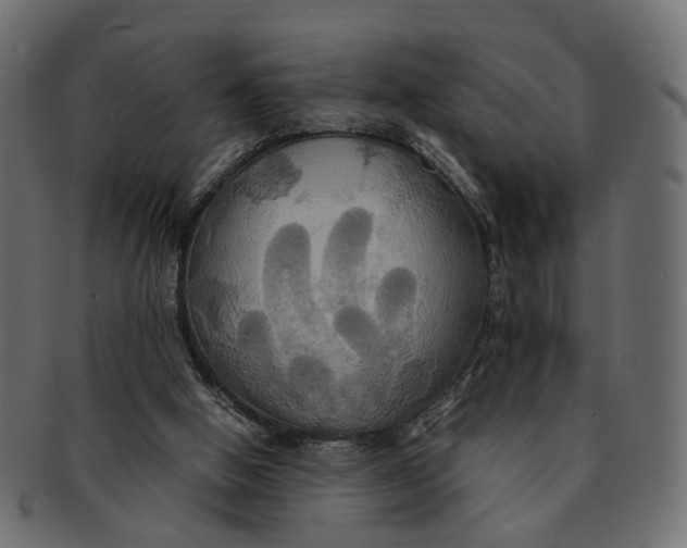 X0000091540058200709071113