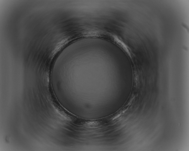 X0000091540059200709071113