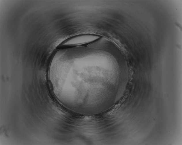 X0000091540060200709071113