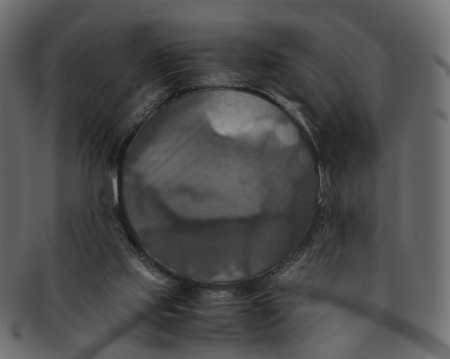 X0000091540061200709071113