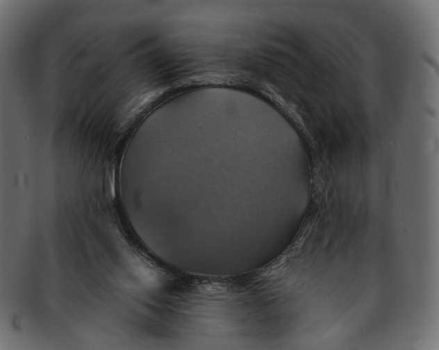 X0000091540062200709071113