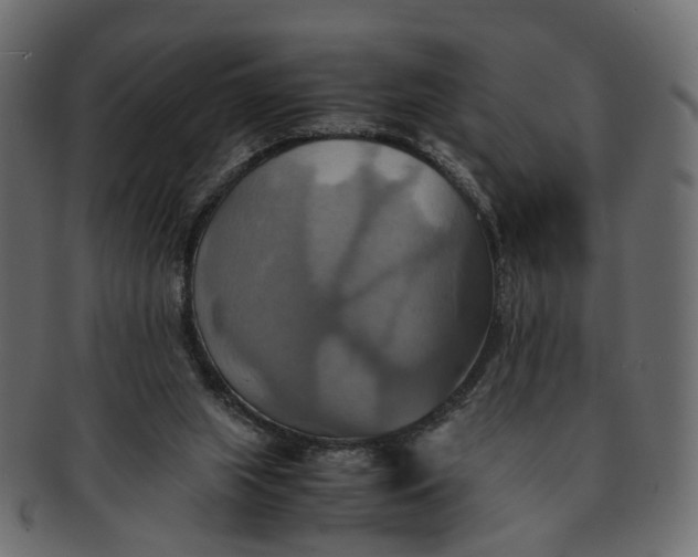 X0000091540063200709071114