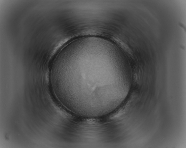 X0000091540064200709071114