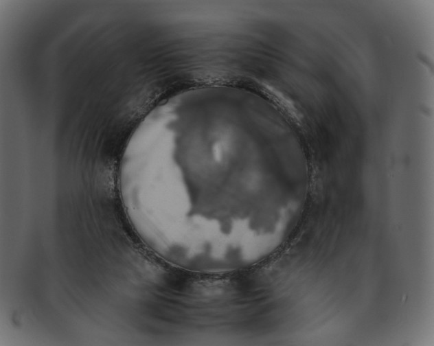 X0000091540065200709071114