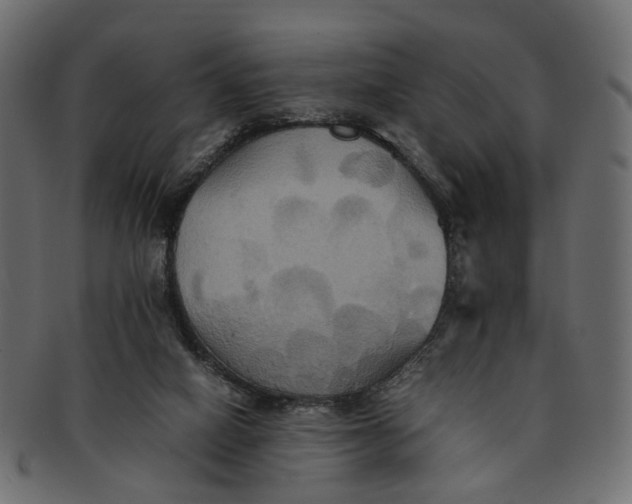 X0000091540066200709071114