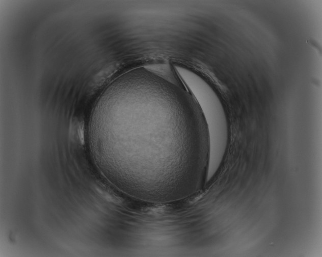 X0000091540068200709071114