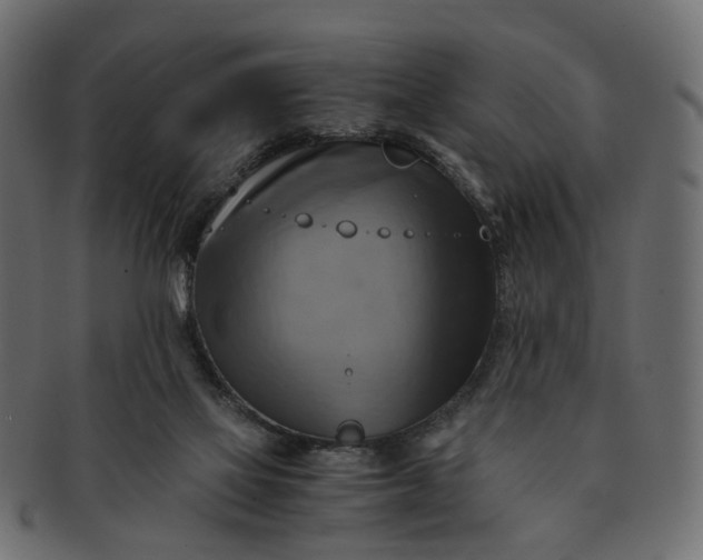 X0000091540069200709071114