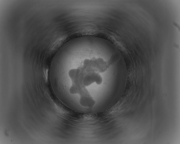 X0000091540070200709071114