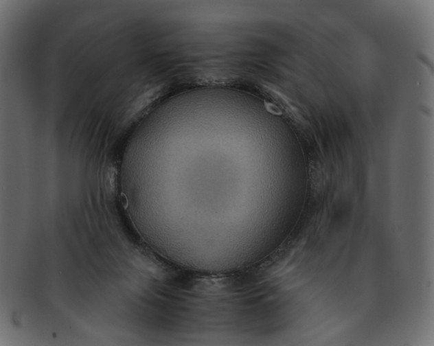 X0000091540071200709071114