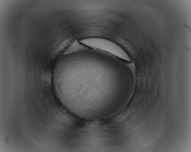 X0000091540072200709071114