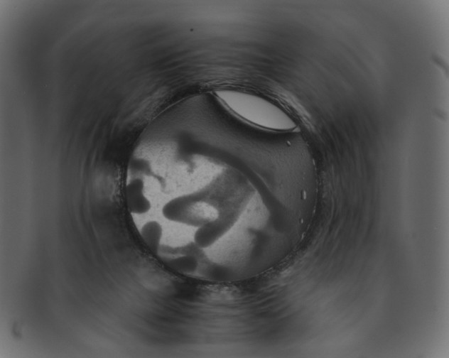 X0000091540073200709071114