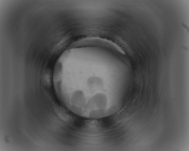 X0000091540074200709071114