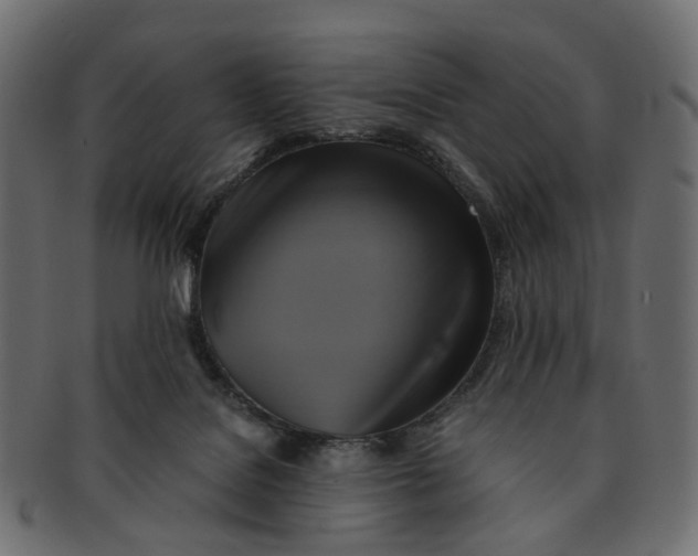 X0000091540076200709071114