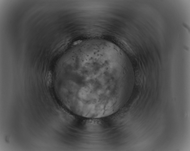 X0000091540077200709071114