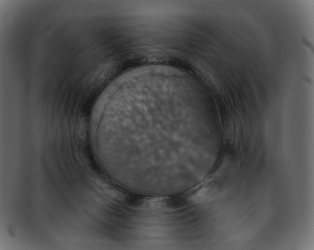 X0000091540078200709071114