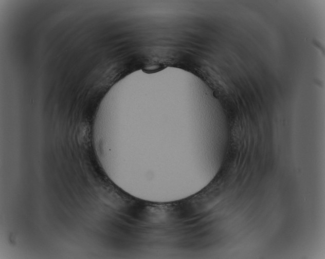 X0000091540079200709071114