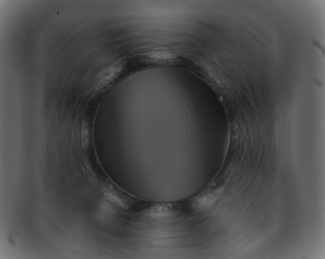 X0000091540080200709071114