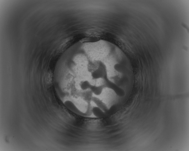 X0000091540081200709071114