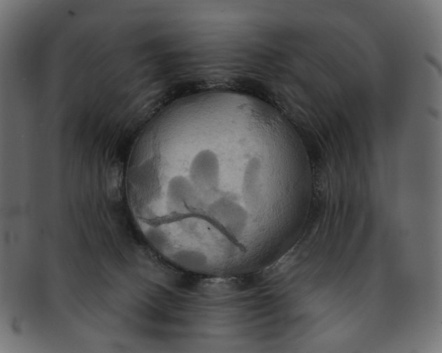 X0000091540082200709071114