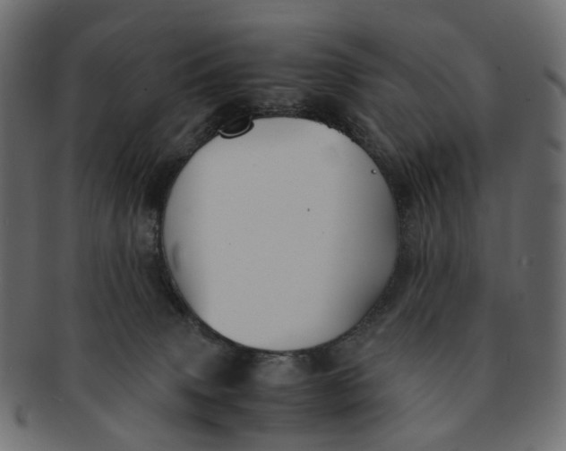 X0000091540083200709071114