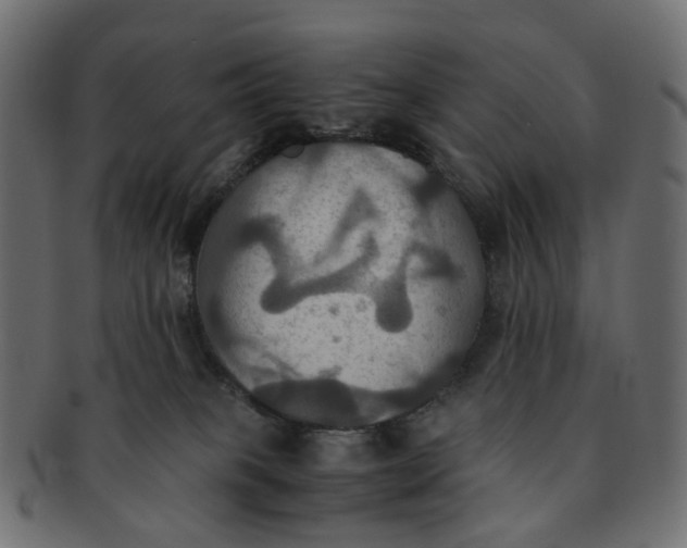 X0000091540085200709071114