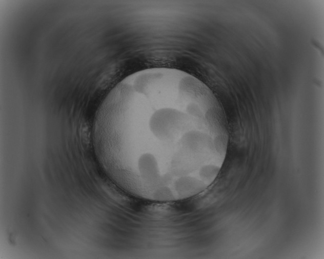 X0000091540086200709071114