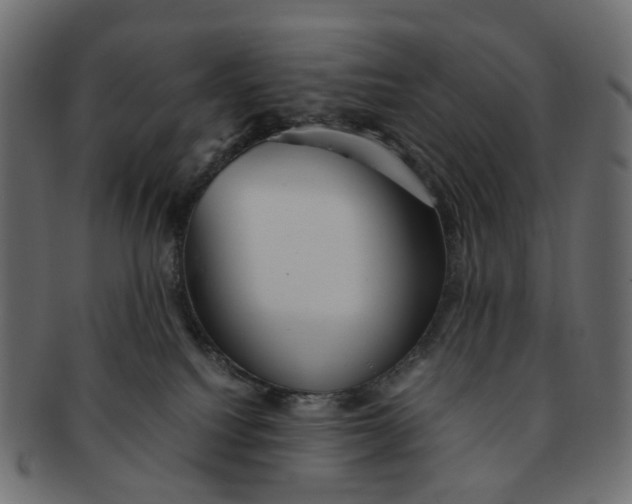 X0000091540088200709071114