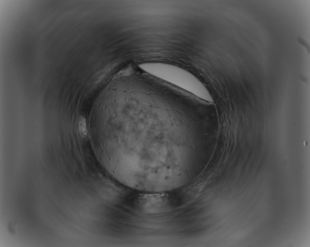 X0000091540089200709071114