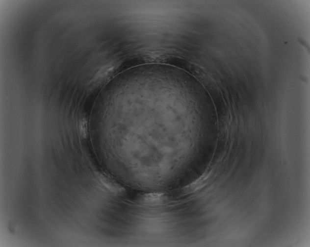 X0000091540090200709071114