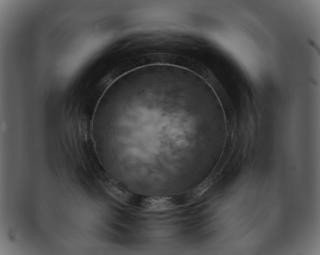 X0000091540093200709071114