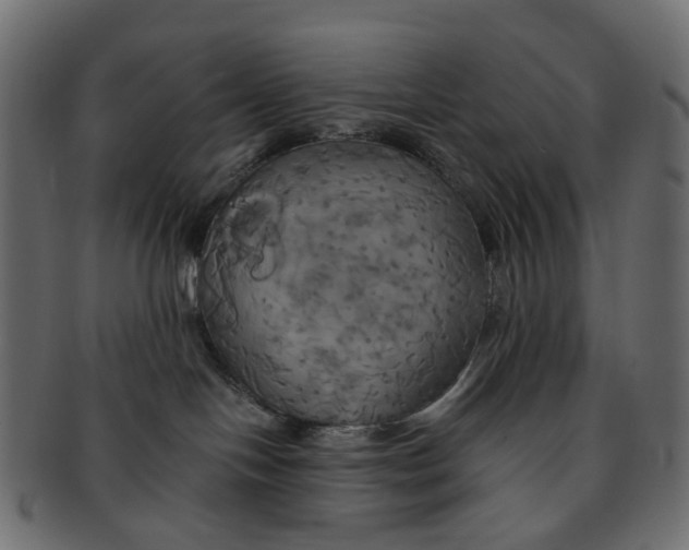 X0000091540094200709071114