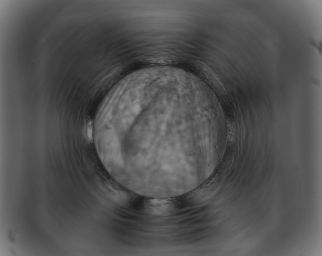 X0000091540095200709071114