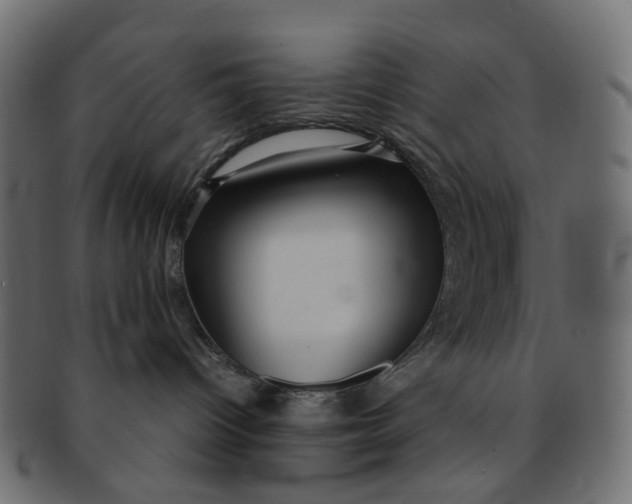 X0000091540096200709071114