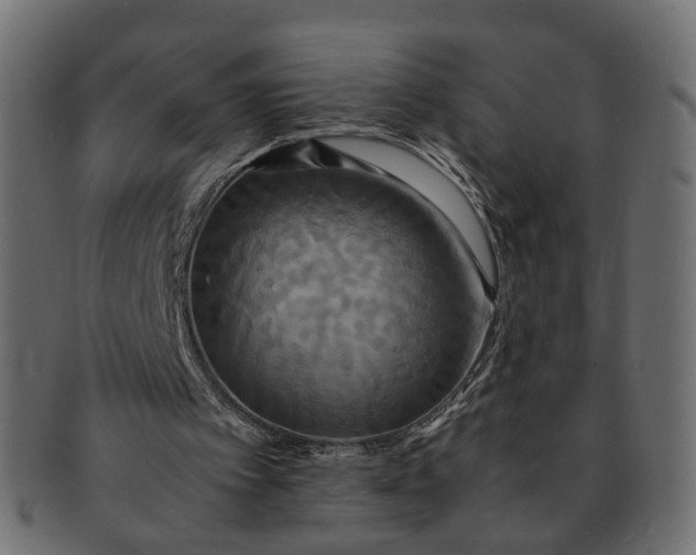 X0000091540097200709071113