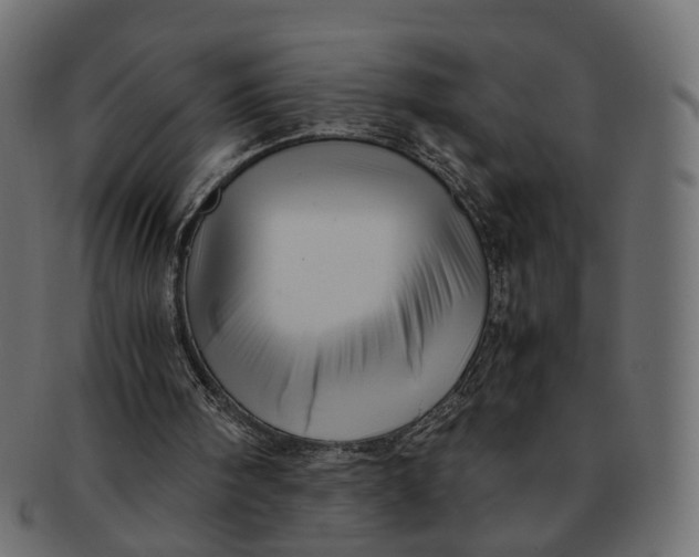 X0000091540098200709071113