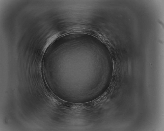 X0000091540099200709071113