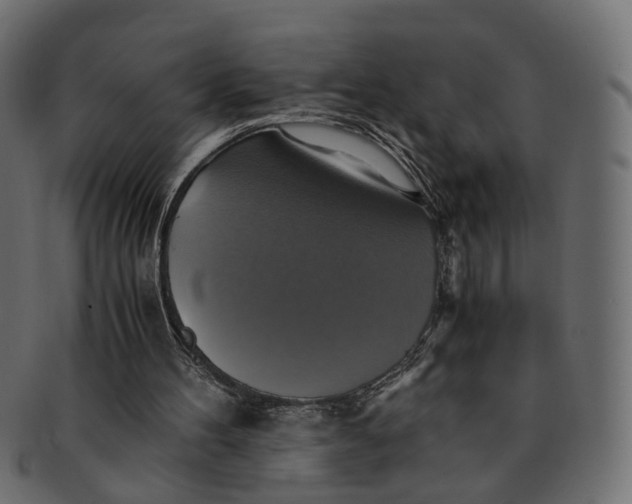 X0000091540100200709071113