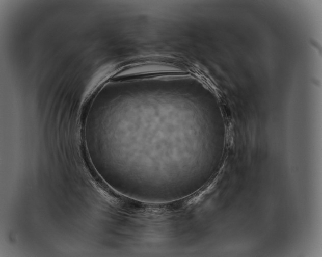 X0000091540101200709071113