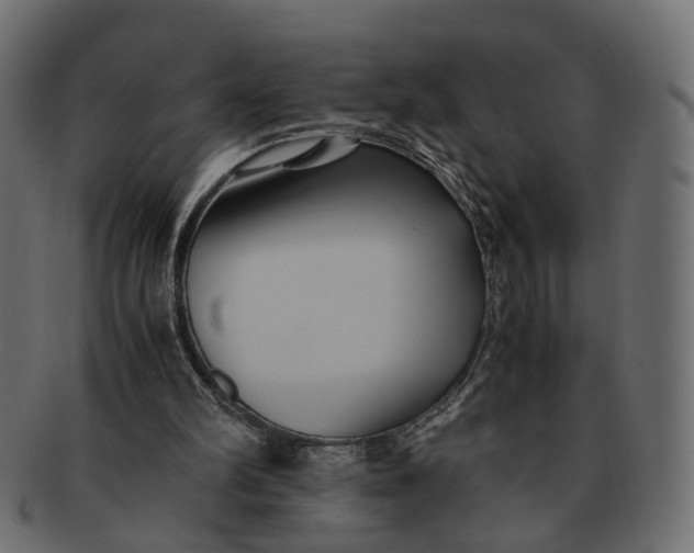 X0000091540102200709071113