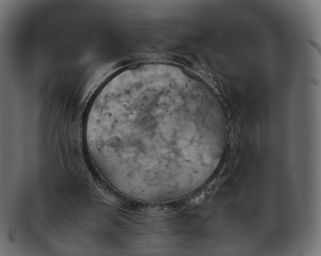 X0000091540103200709071113