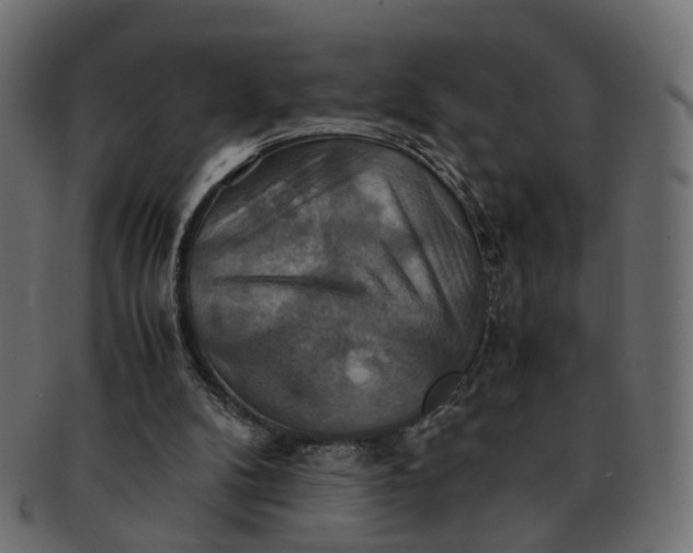 X0000091540104200709071113