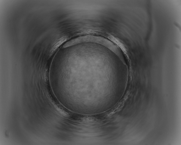 X0000091540105200709071113