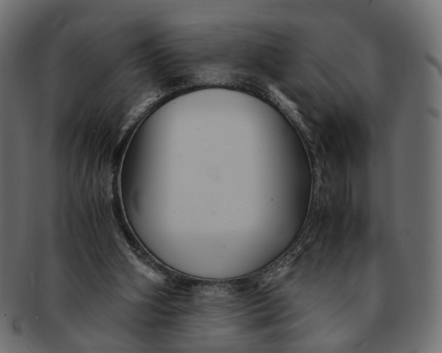 X0000091540106200709071113