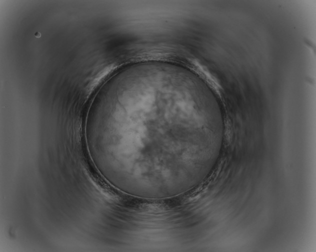 X0000091540107200709071113