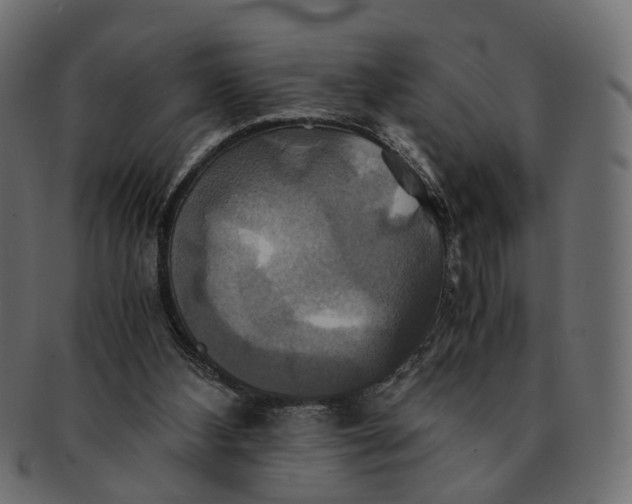 X0000091540108200709071113